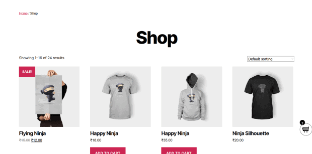 Image example of an ecommerce hosting online shop
